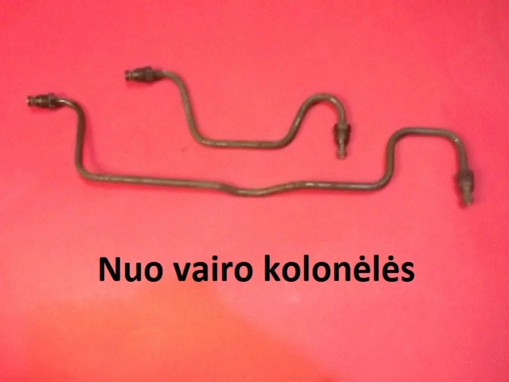Vairo stiprintuvo žarna (-os)/ vamzdelis (-iai)