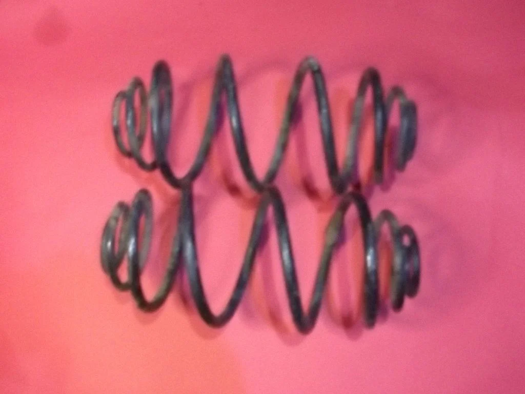 Rear coil spring 1364688