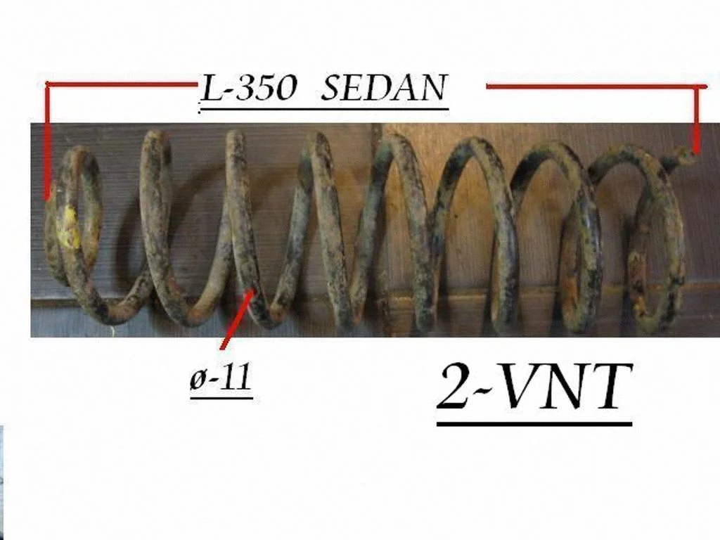Rear coil spring