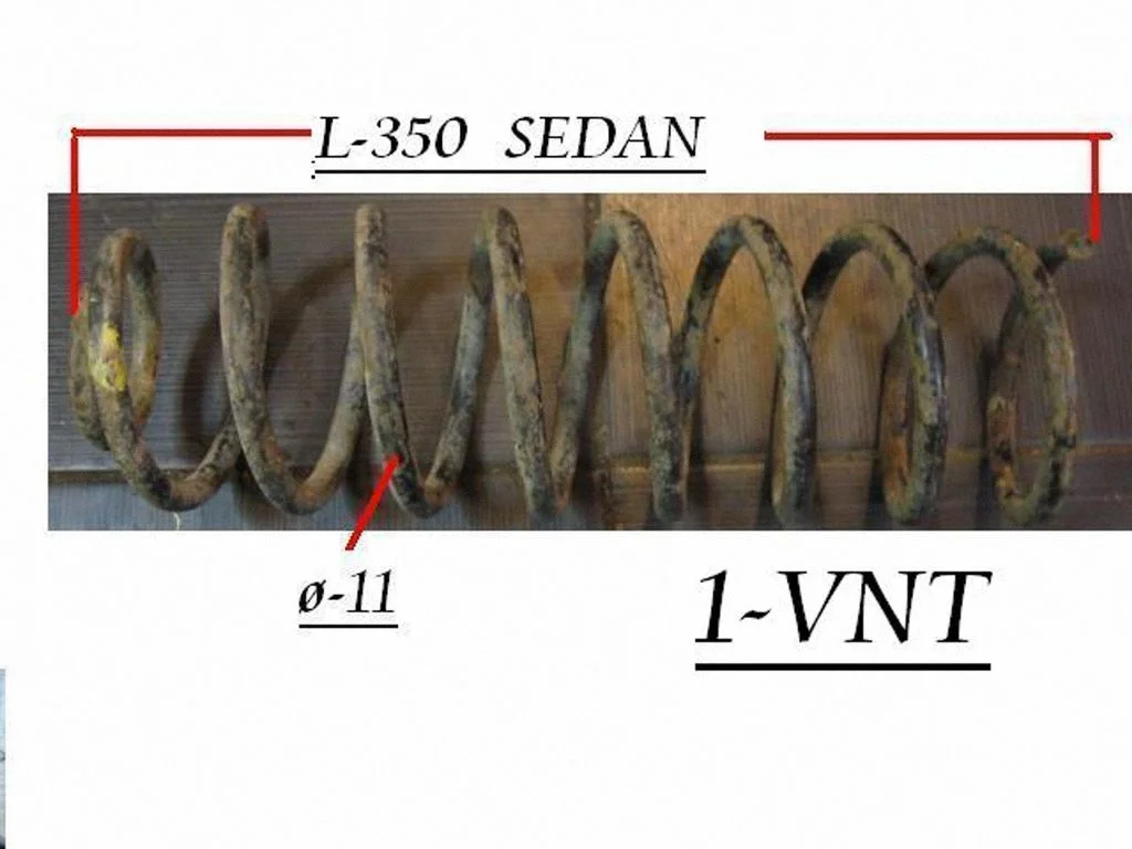 Rear coil spring