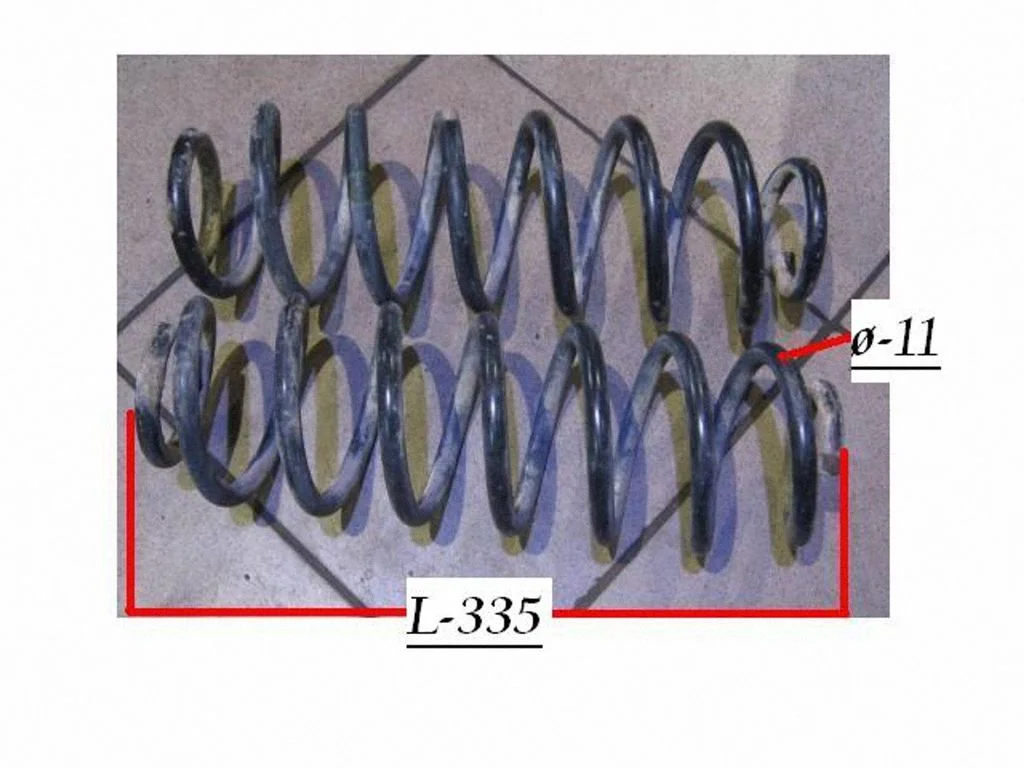 Rear coil spring