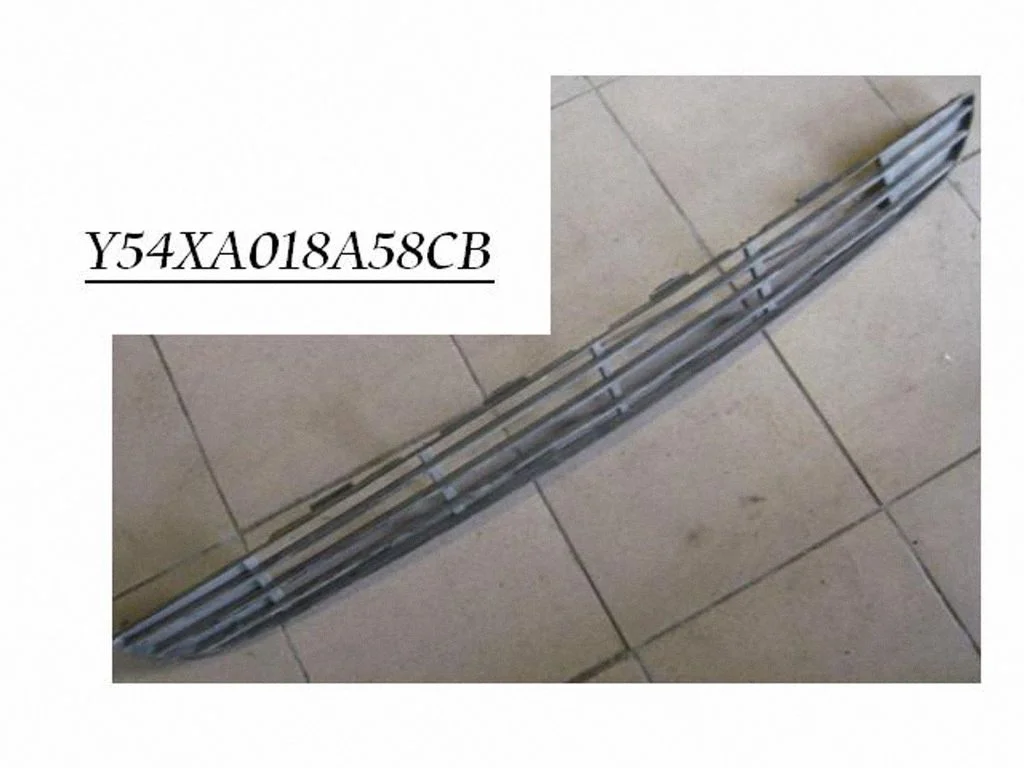 Front bumper lower grill Y54XA018A58CB