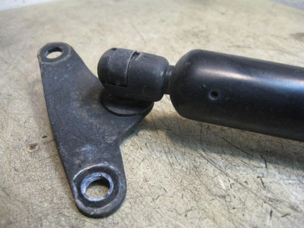 Tailgate/trunk strut/damper