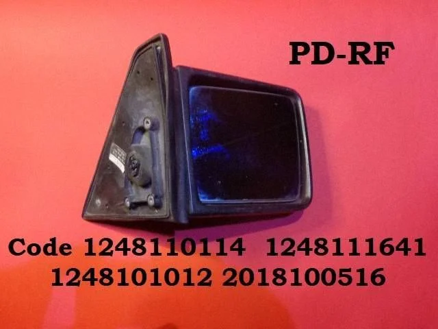 Front door electric wing mirror 1248110114