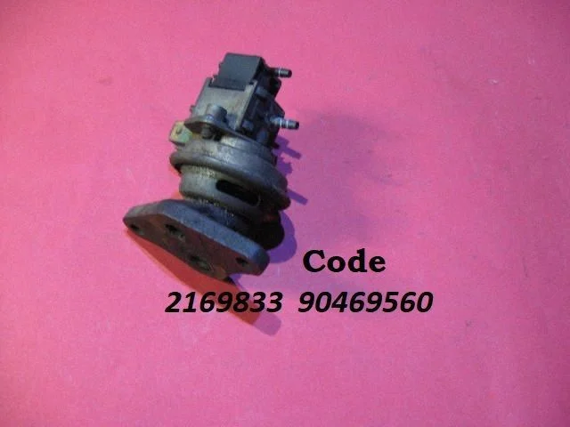 EGR-klapp 2169833
