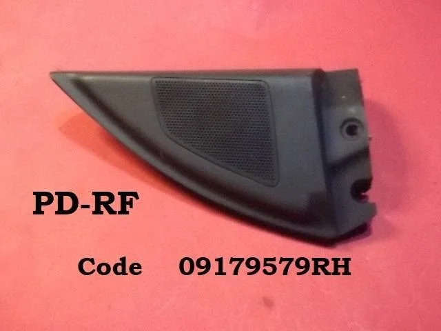 Głośnik wysokotonowy w drzwiach przednich 09179579RH