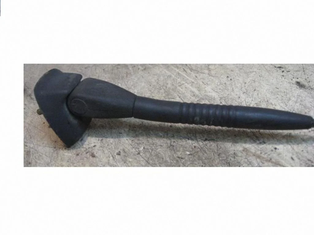 Radio antenna 820044321
