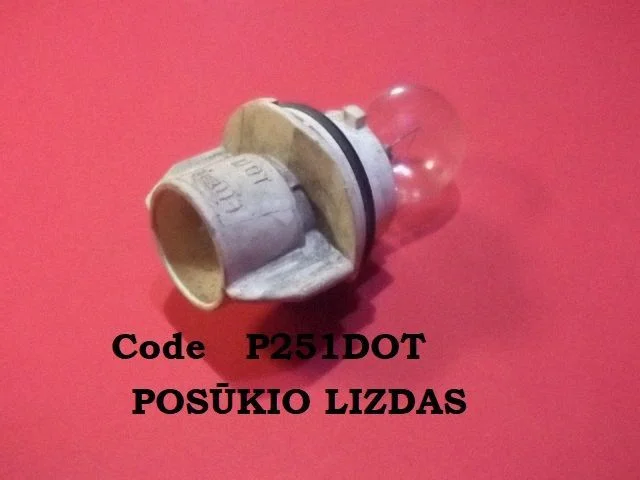 Front indicator light P251DOT