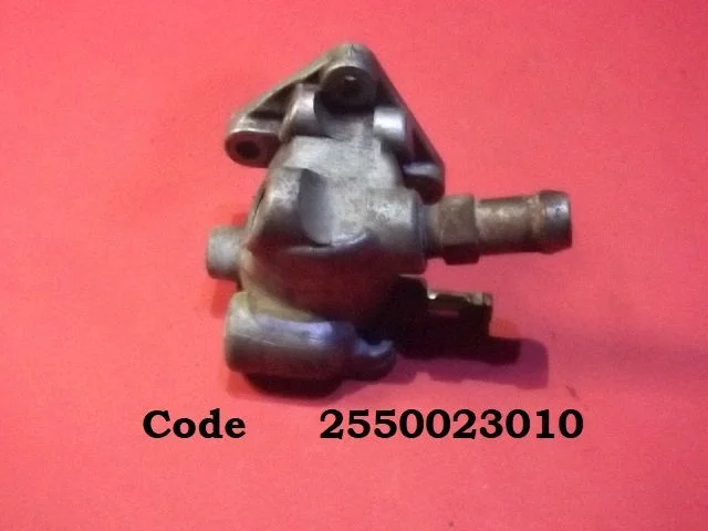 Thermostat/thermostat housing 2550023010