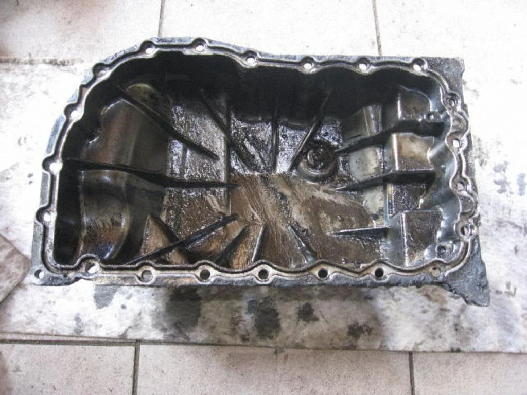 Eļļas vācele 330970661