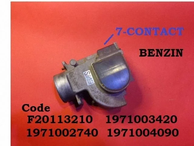 Mass air flow meter F20113210