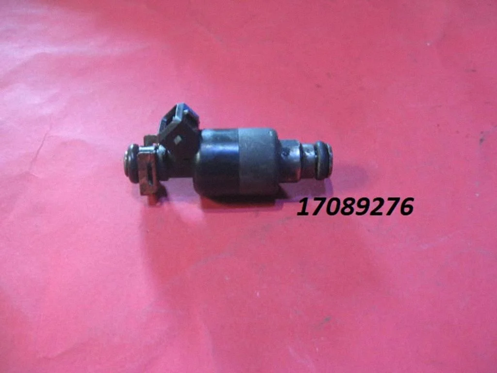 Wtryskiwacz 17089276