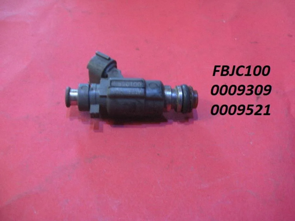 Fuel injector FBJC100