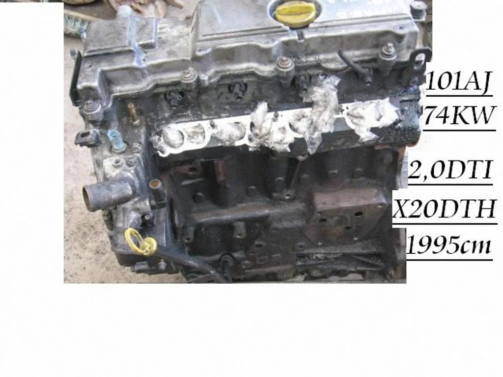 Mootor X20DTH