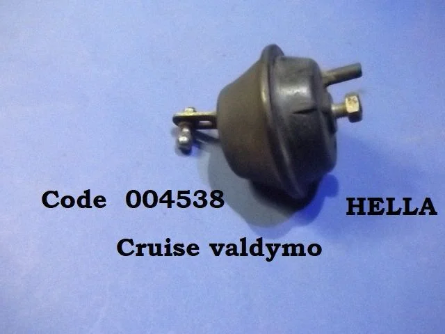 Vacuum valve 004538