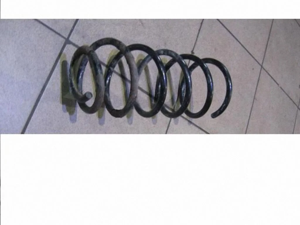 Front coil spring