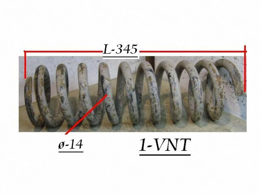 Rear coil spring