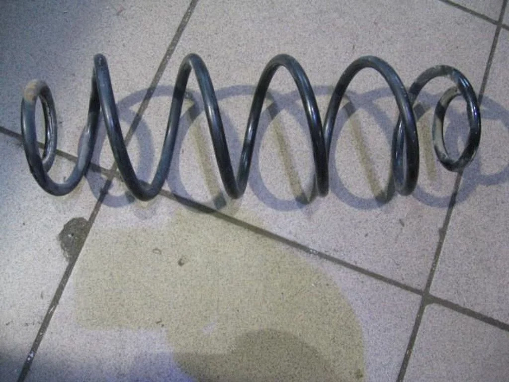 Rear coil spring