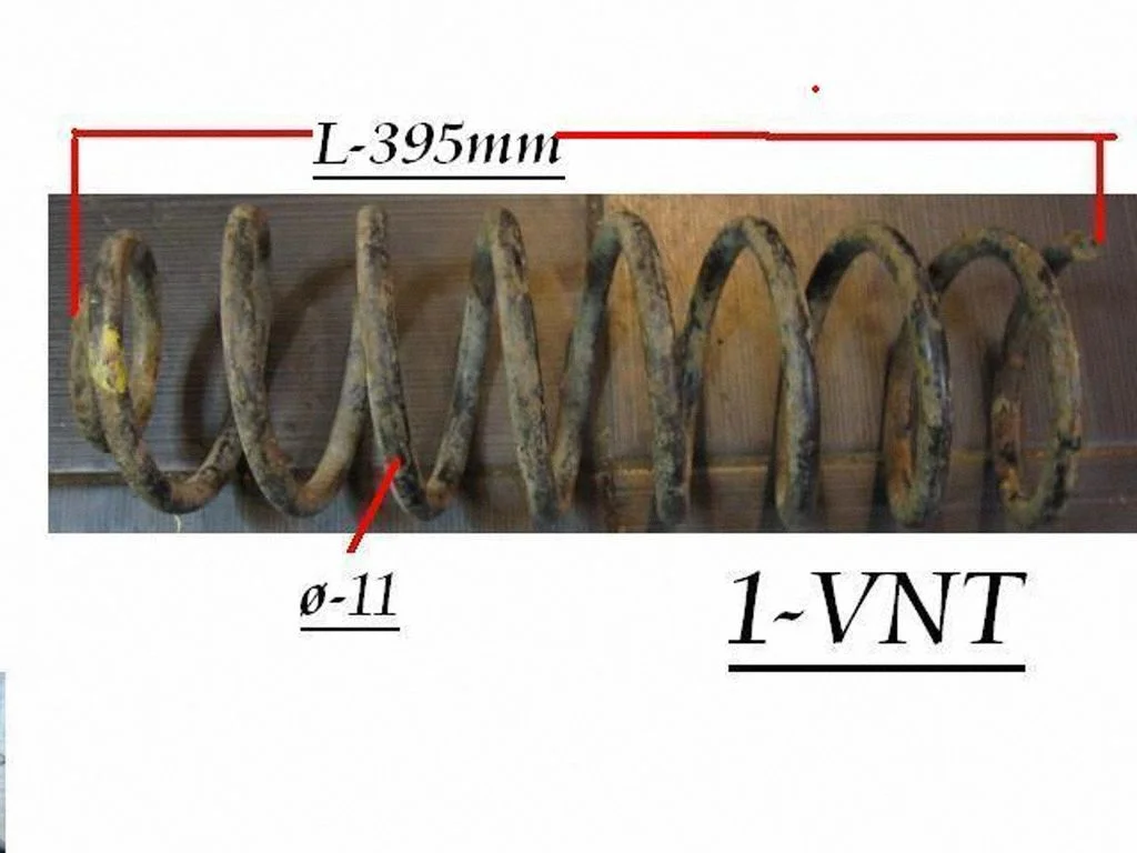 Rear coil spring