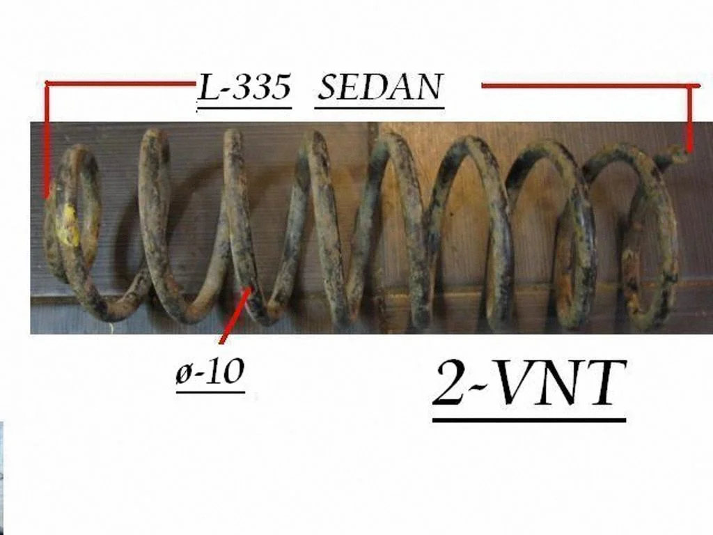 Rear coil spring