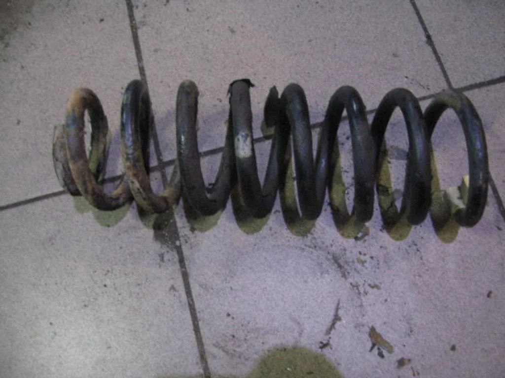 Rear coil spring