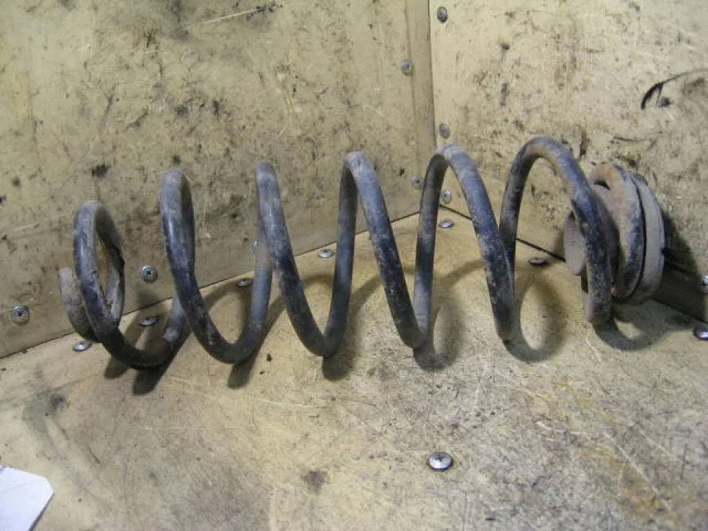 Rear coil spring
