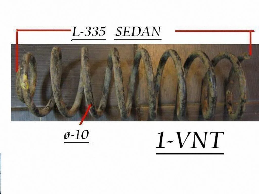 Rear coil spring