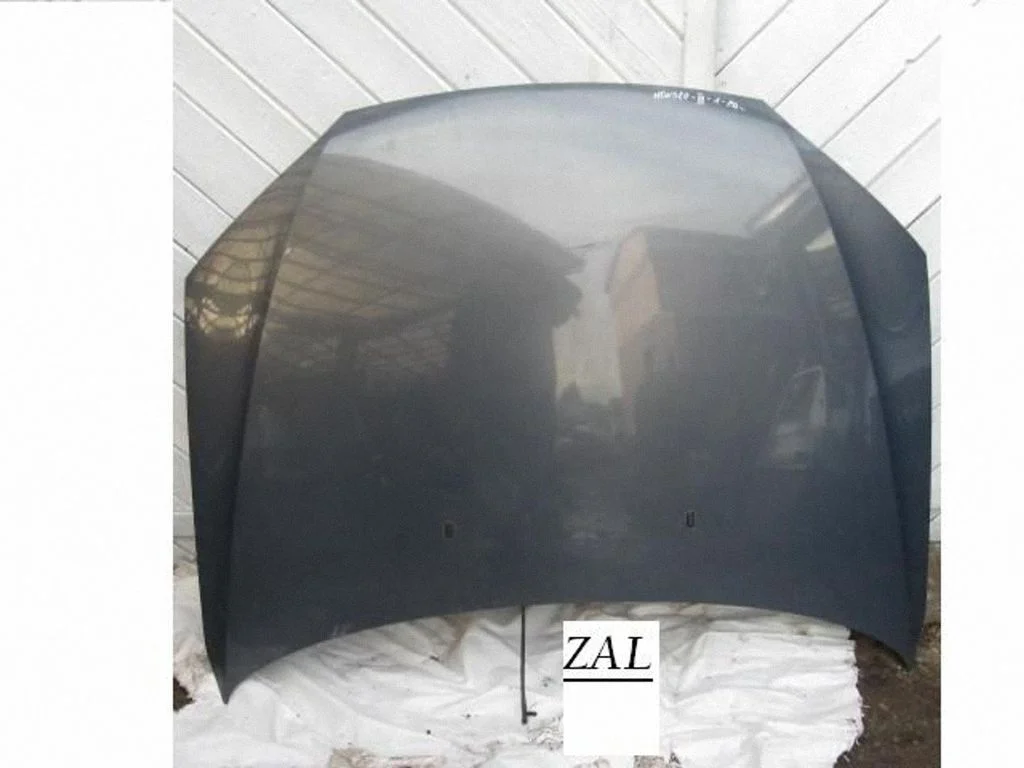 Engine bonnet/hood – front