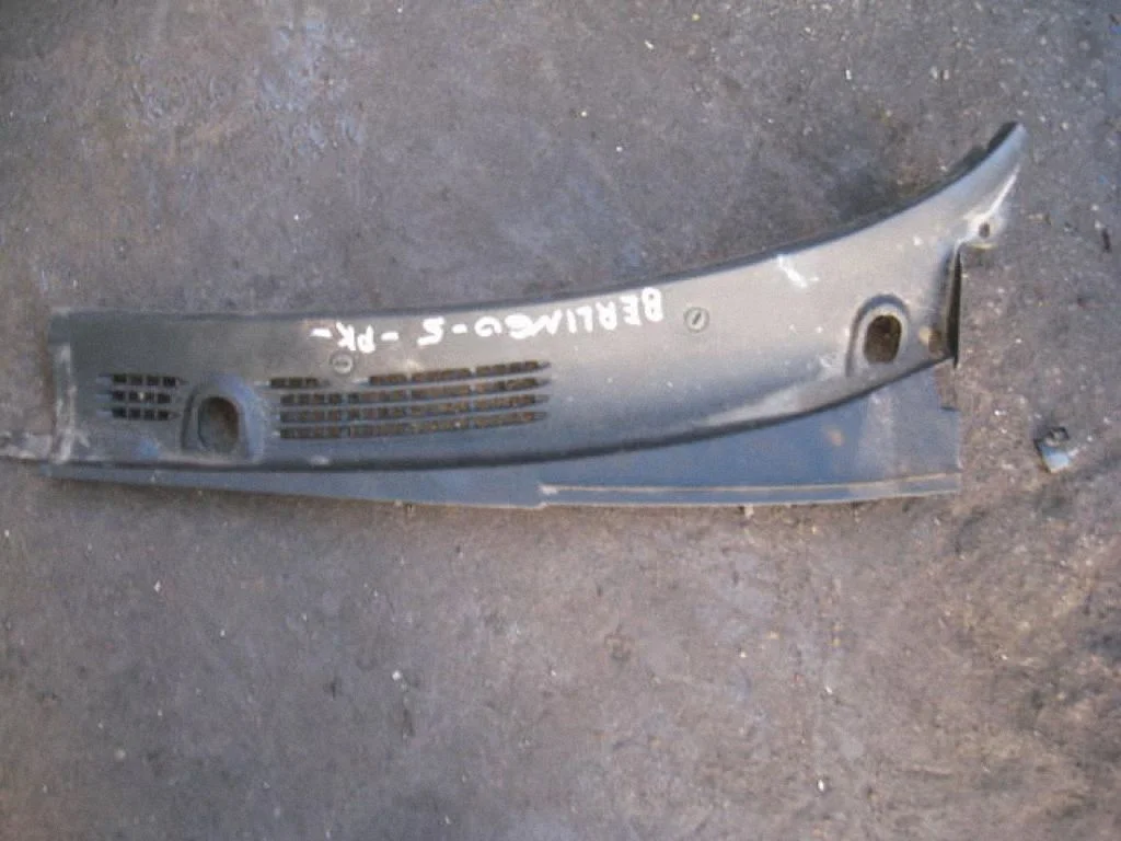 Wiper trim 9619270877