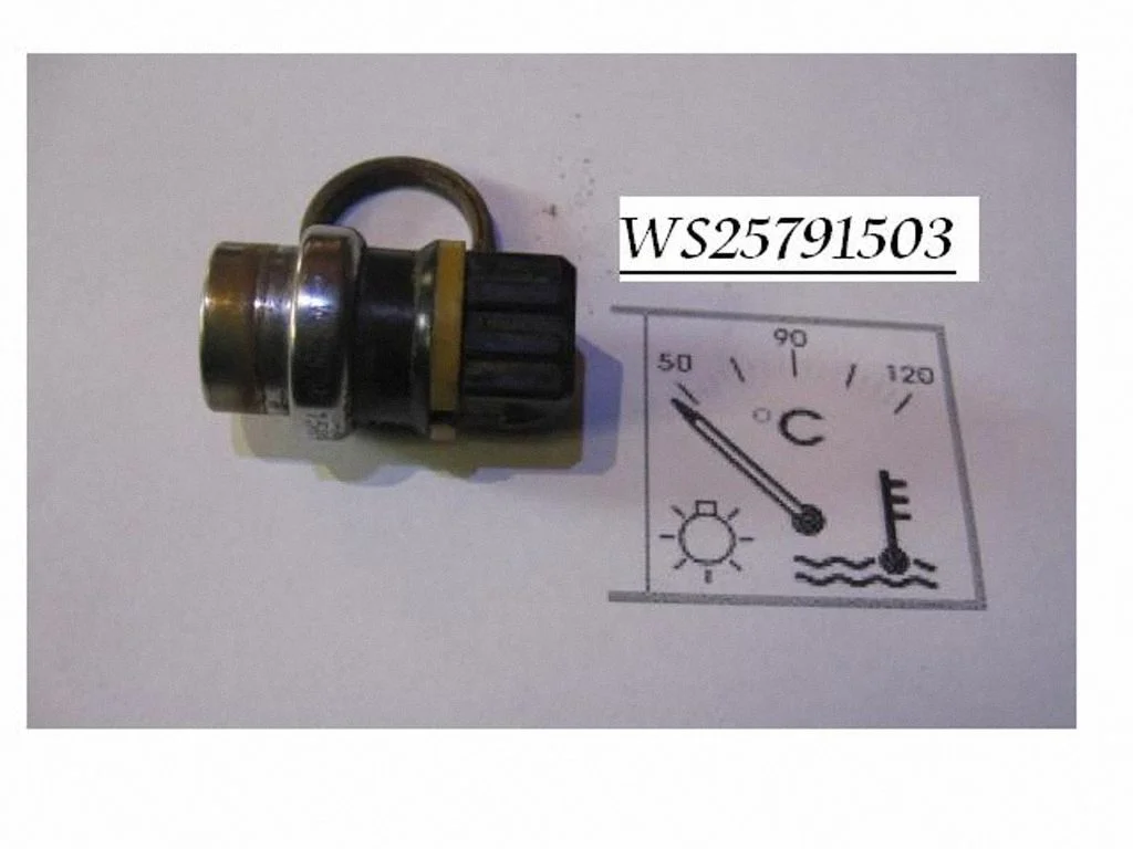 Jahutusvedeliku temperatuuriandur WS25791503