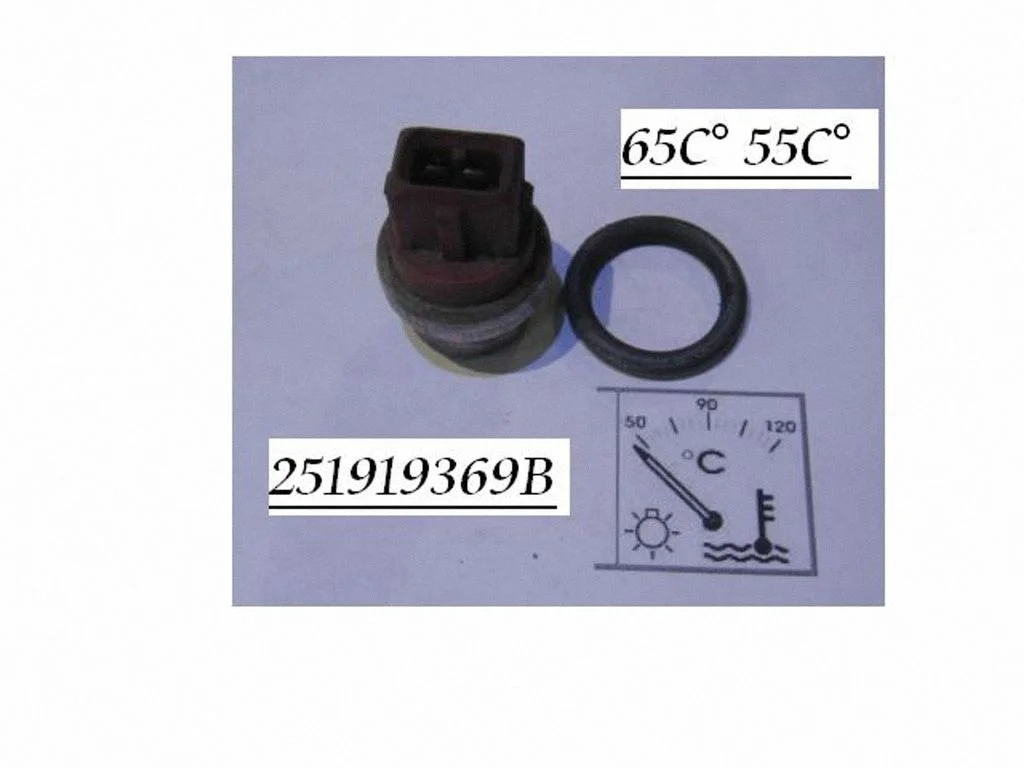 Coolant temperature sensor 251919369B