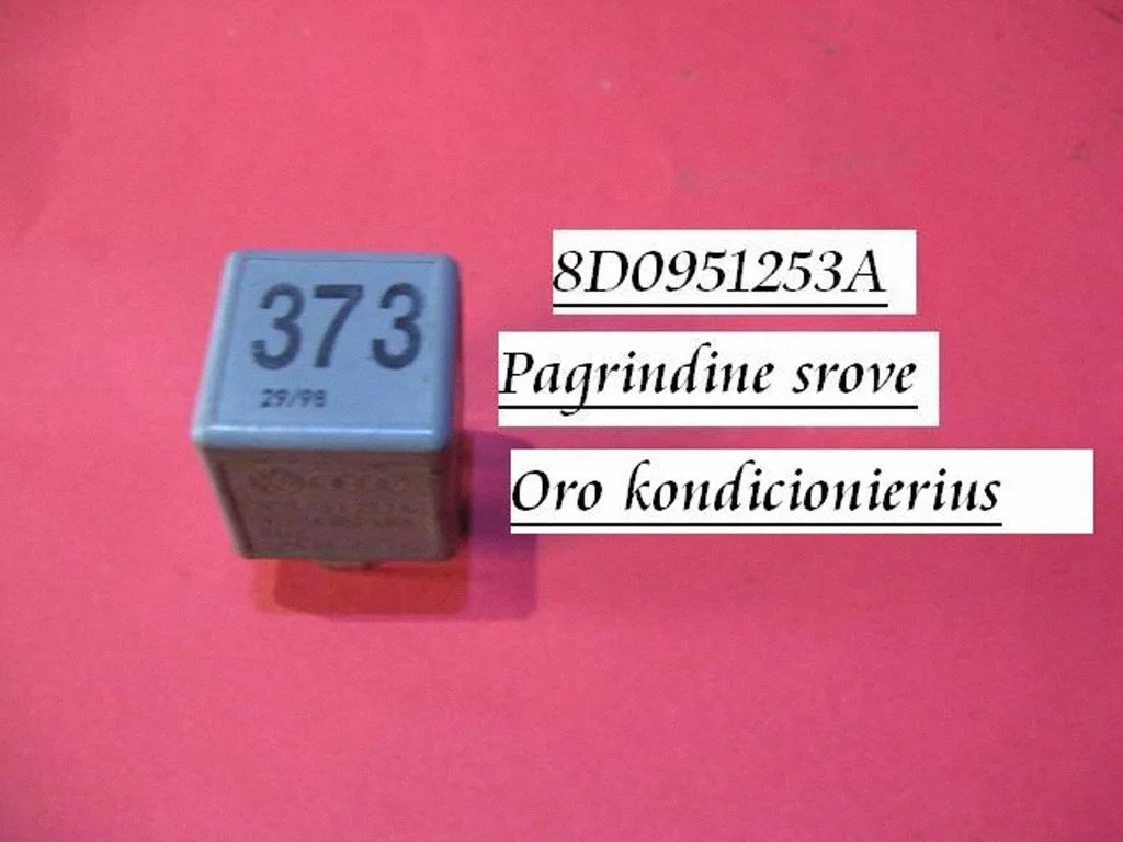 Kita rėlė