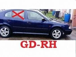 Galvenais aizmugurējo durvju stikls 43R00049