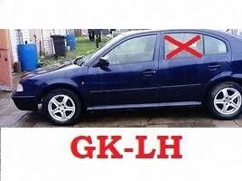 Galvenais aizmugurējo durvju stikls 43R00049