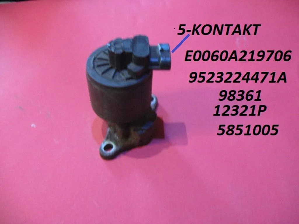 EGR-klapp E0060A219706
