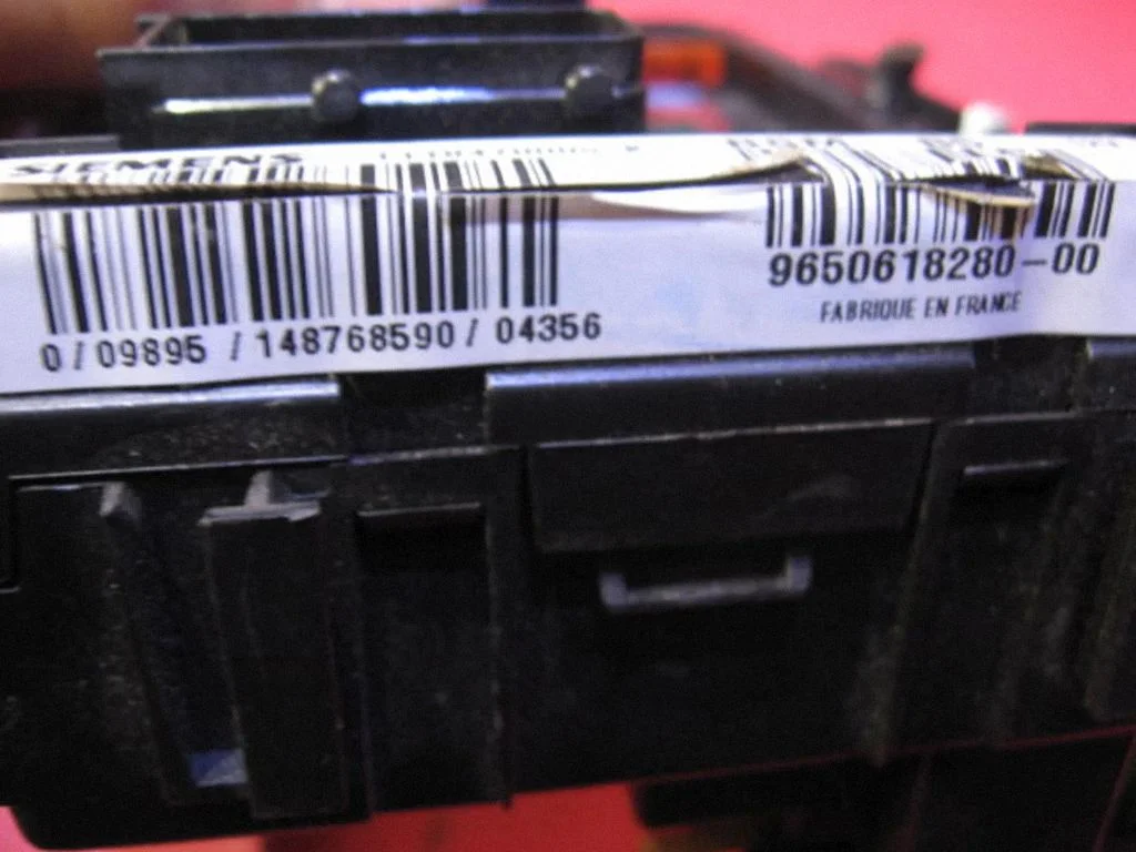 Fuse module 9650618280