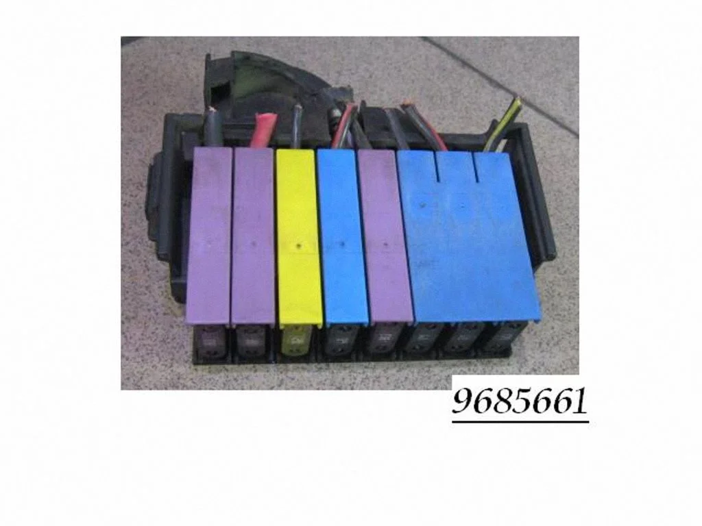 Fuse module 9685661
