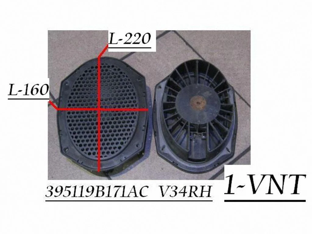 Głośnik w drzwiach przednich 395119B171AC
