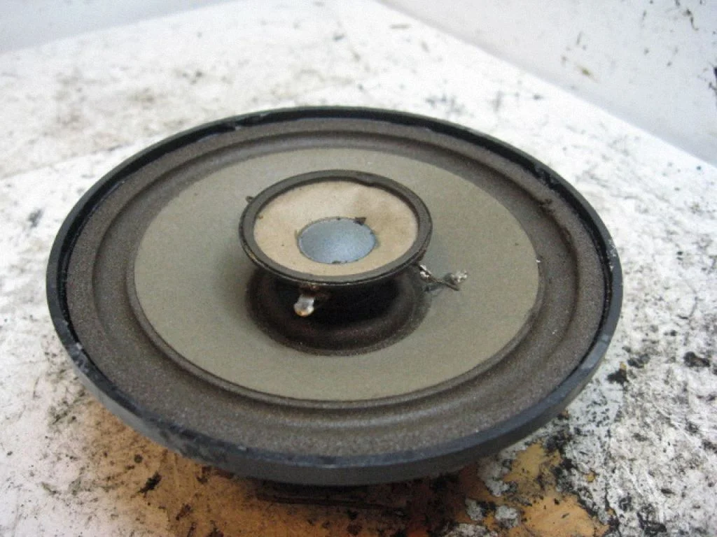 Rear door speaker