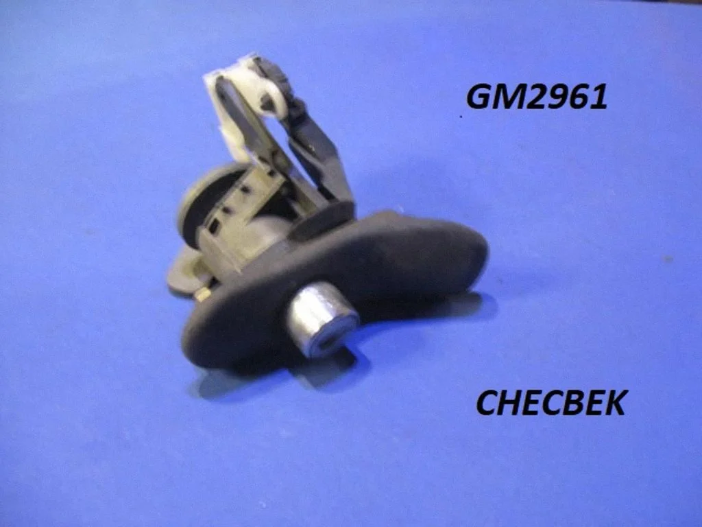 Tailgate exterior lock GM2961