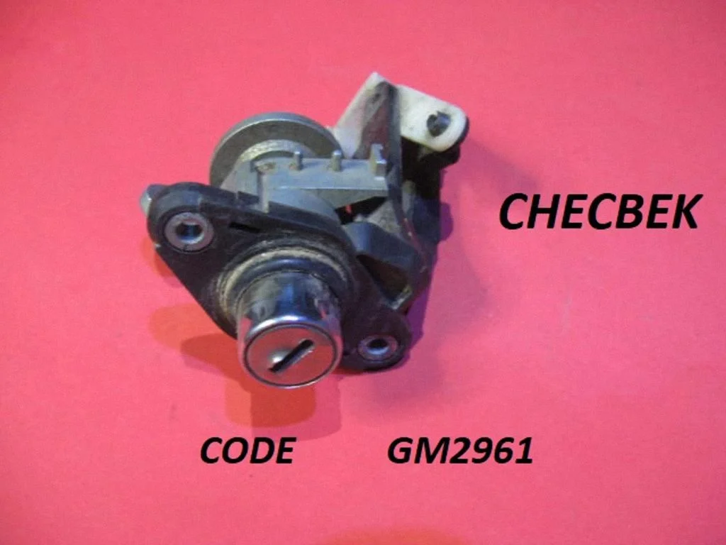 Tailgate exterior lock GM2961