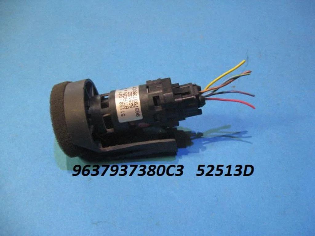 Salona temperatūras sensors 9637937380C3