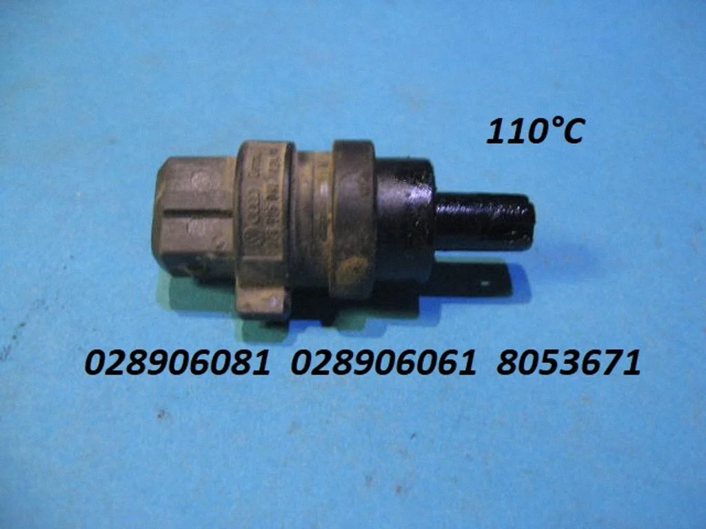 Sisselaskeõhu temperatuuriandur – Audi A3 S3 8L (1996-2003)