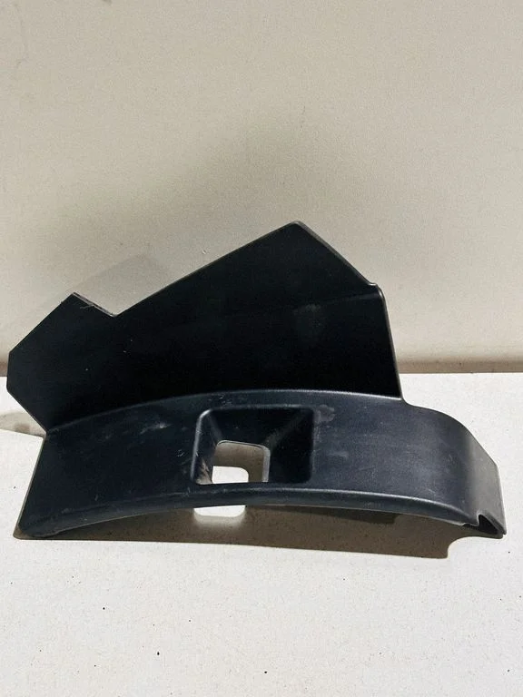 Rear/tail light trim molding 8196248020