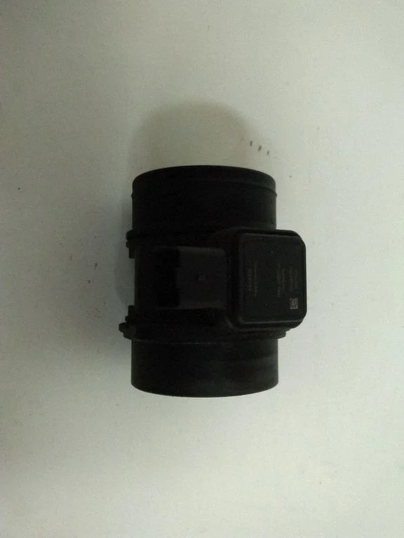 Mass air flow meter 5WK97011