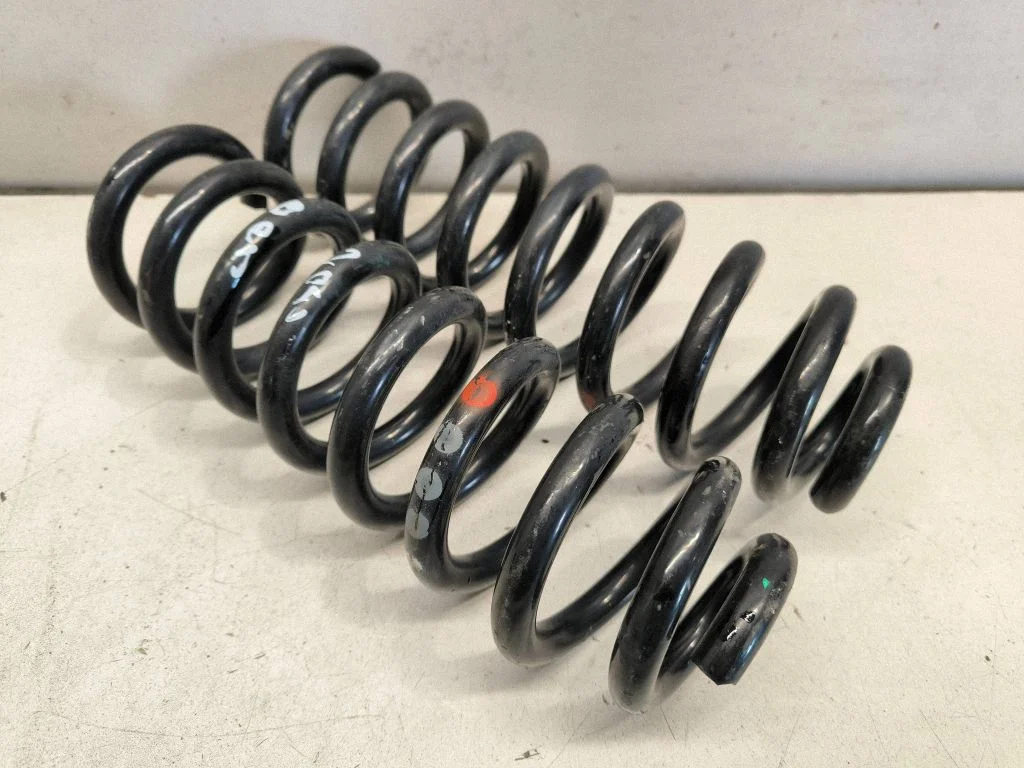 Rear coil spring