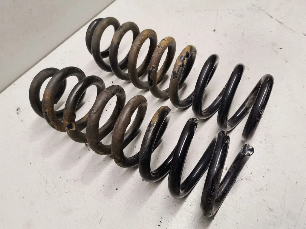 Rear coil spring