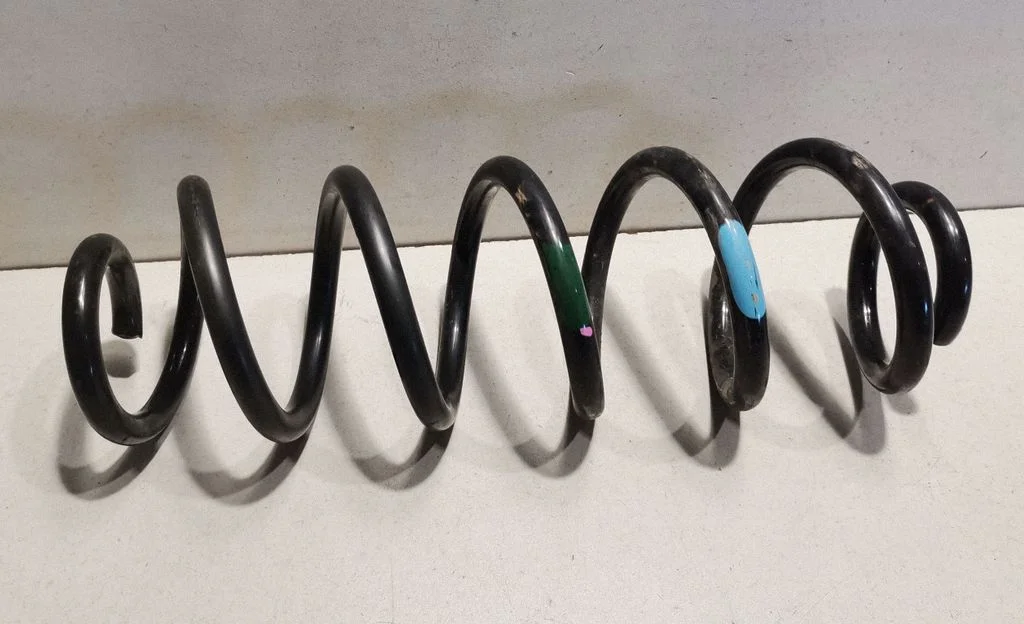 Rear coil spring