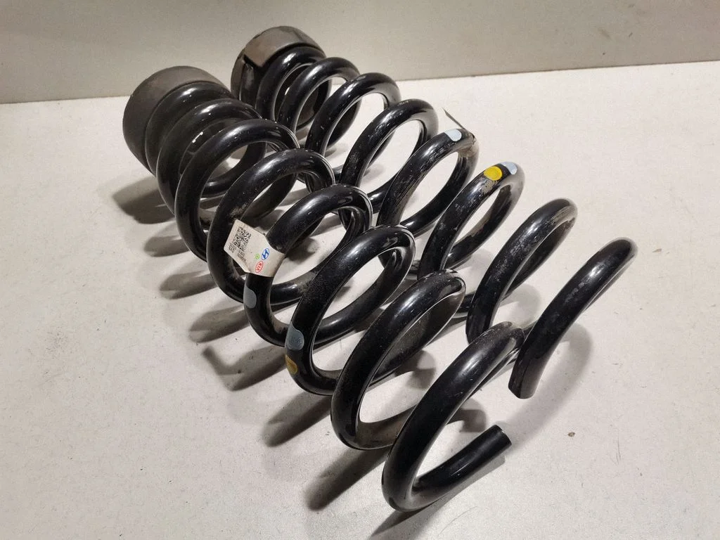 Rear coil spring