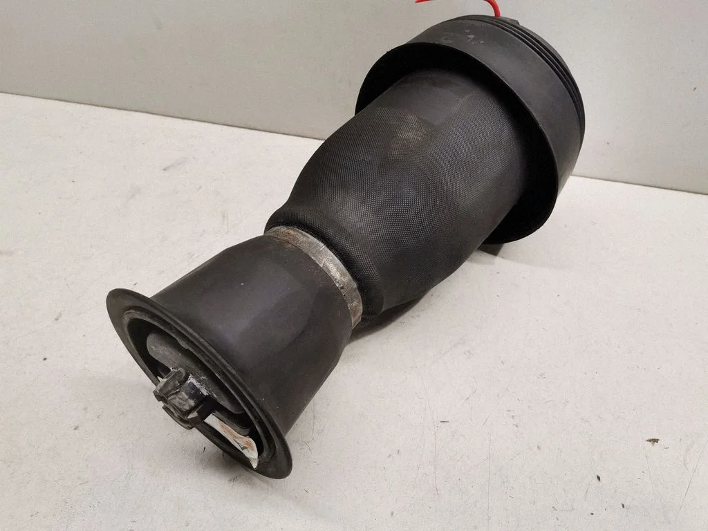 Rear air suspension bag/shock absorber R309512606